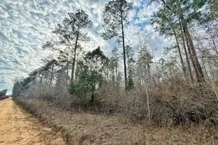 1718 Palmview Rd, Cottondale, FL 32431 - Photo 1