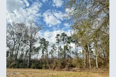 1718 Palmview Road, Cottondale, FL 32431 - Photo 5