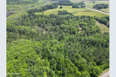 1683 Highway 162 #C, Westville, FL 32464 - Photo 5