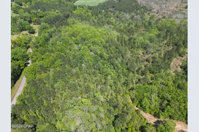 1683 Highway 162 #C, Westville, FL 32464 - Photo 7