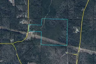 Tbd Wildrose Ln, Chipley, FL 32428 - Photo 1