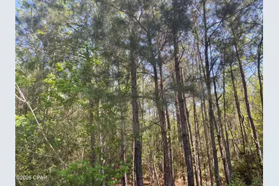 1683 Highway 162 #C, Westville, FL 32464 - Photo 5