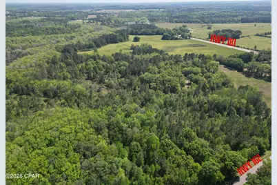 1683 Highway 162 #C, Westville, FL 32464 - Photo 1