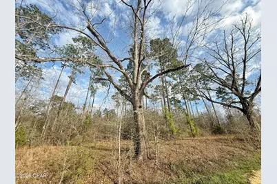 00 Palmview Lane, Cottondale, FL 32431 - Photo 5