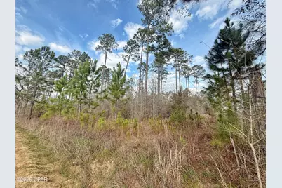 00 Palmview Lane, Cottondale, FL 32431 - Photo 1