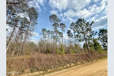 00 Palmview Lane, Cottondale, FL 32431 - Photo 3