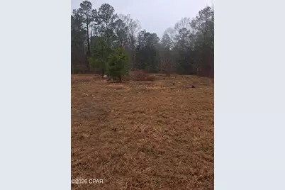 2114 Miller Lane, Chipley, FL 32428 - Photo 3