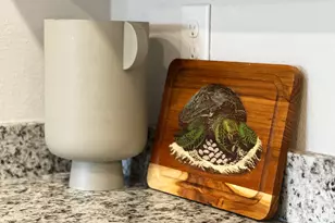 358 Sea Grv Wy, Port Saint Joe, FL 32456 - Photo 17