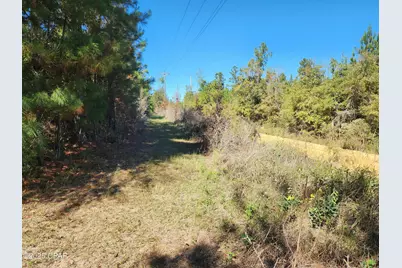 000 Pineridge Church Road, Marianna, FL 32448 - Photo 17