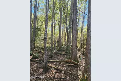 000 Pineridge Church Road, Marianna, FL 32448 - Photo 11