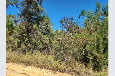 000 Pineridge Church Road, Marianna, FL 32448 - Photo 31