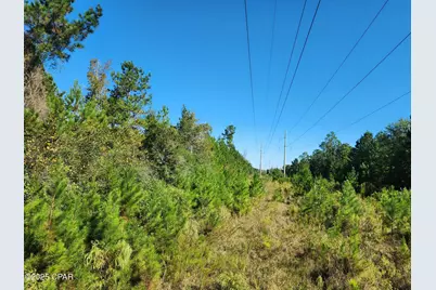 000 Pineridge Church Road, Marianna, FL 32448 - Photo 5