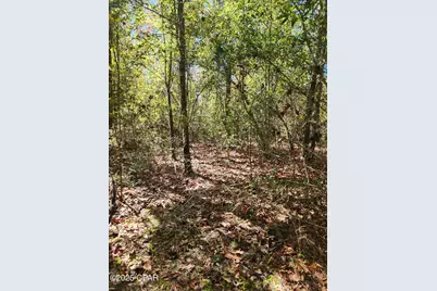 000 Pineridge Church Road, Marianna, FL 32448 - Photo 23