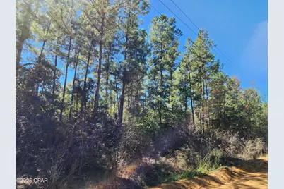 000 Pineridge Church Road, Marianna, FL 32448 - Photo 29