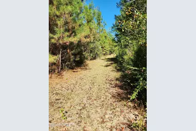 000 Pineridge Church Road, Marianna, FL 32448 - Photo 27