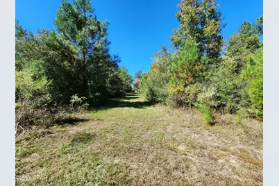 000 Pineridge Church Road, Marianna, FL 32448 - Photo 19