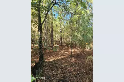 000 Pineridge Church Road, Marianna, FL 32448 - Photo 7