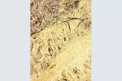 000 Pineridge Church Road, Marianna, FL 32448 - Photo 15