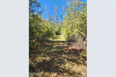 000 Pineridge Church Road, Marianna, FL 32448 - Photo 25