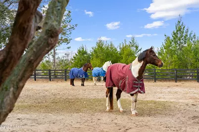 2677 Ferol Lane, Lynn Haven, FL 32444 - Photo 89