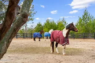 2677 Ferol Ln, Lynn Haven, FL 32444 - Photo 89