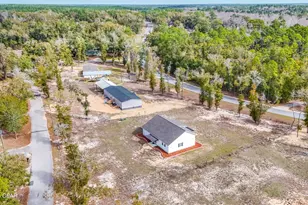 15608 NE New Market Rd, Hosford, FL 32334 - Photo 59