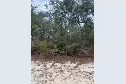 Tbd Leisure Lane, Holt, FL 32564 - Photo 5