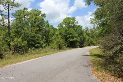Lot 4 Arnone Lane, Chipley, FL 32428 - Photo 3