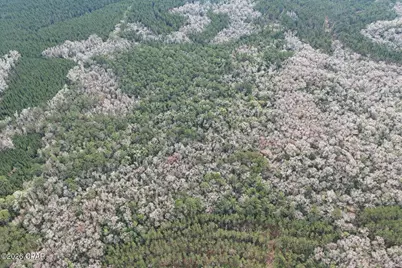 00 Clemmons Rd Road, Bonifay, FL 32425 - Photo 3