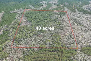 00 Clemmons Rd Rd, Bonifay, FL 32425 - Photo 1