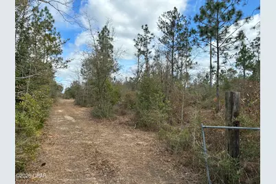 11922 Tammy Pitts Road, Fountain, FL 32438 - Photo 3