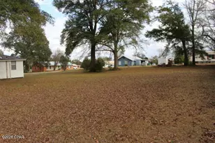 2497 3rd Ave, Alford, FL 32420 - Photo 47