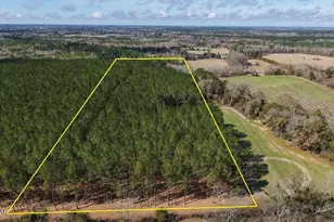 0 0 Grimes Rd, Laurel Hill, FL 32567 - Photo 1