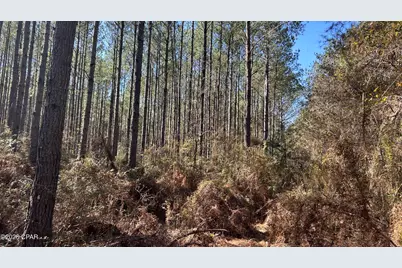 0 0 Grimes Road Lot #1, Laurel Hill, FL 32567 - Photo 15