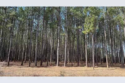 0 0 Grimes Road Lot #1, Laurel Hill, FL 32567 - Photo 5