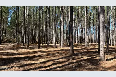 0 0 Grimes Road Lot #1, Laurel Hill, FL 32567 - Photo 11