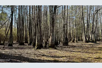 0 0 Grimes Road Lot #1, Laurel Hill, FL 32567 - Photo 21