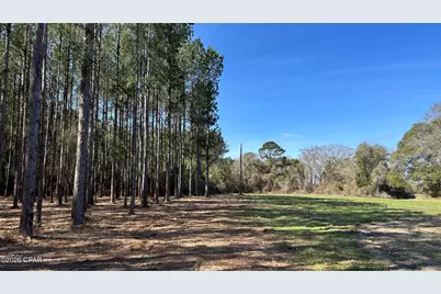 0 0 Grimes Road Lot #1, Laurel Hill, FL 32567 - Photo 3
