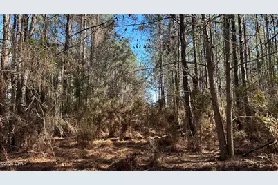 0 0 Grimes Road Lot #1, Laurel Hill, FL 32567 - Photo 17