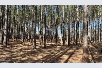 0 0 Grimes Road Lot #1, Laurel Hill, FL 32567 - Photo 9