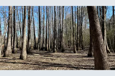 0 0 Grimes Road Lot #1, Laurel Hill, FL 32567 - Photo 19