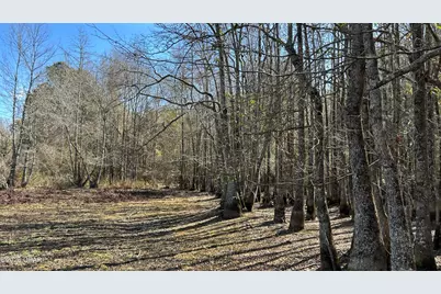 0 0 Grimes Road Lot #1, Laurel Hill, FL 32567 - Photo 23