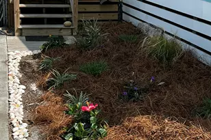 123 4th St, Mexico Beach, FL 32456 - Photo 29