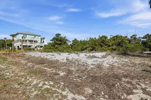 226 Seagrass Cir, Port Saint Joe, FL 32456 - Photo 1