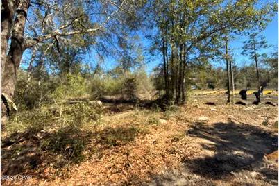 12533 Scott Road, Fountain, FL 32438 - Photo 3