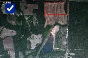 0 New Hope Rd, Marianna, FL 32448 - Photo 1