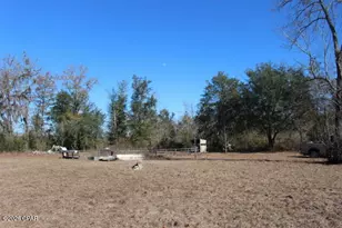 6297 Americus Rd, Marianna, FL 32446 - Photo 17