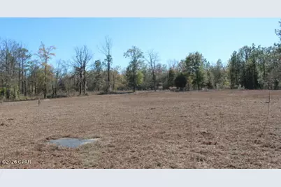 6297 Americus Road, Marianna, FL 32446 - Photo 13