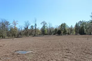 6297 Americus Rd, Marianna, FL 32446 - Photo 13