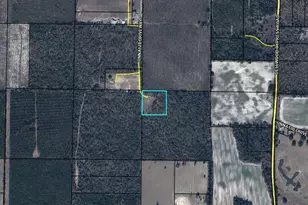 6297 Americus Rd, Marianna, FL 32446 - Photo 5